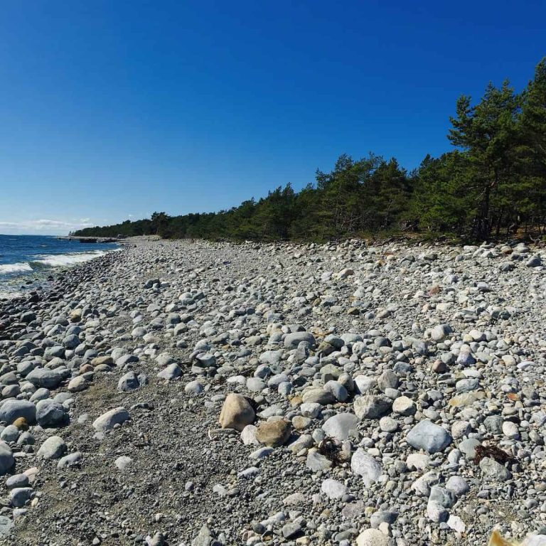 Toro Stenstrand 1 768x768