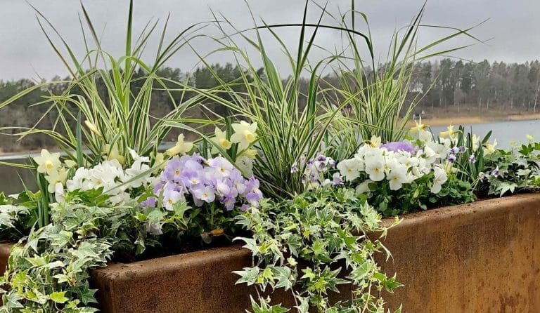 Fame tradgard 768x446