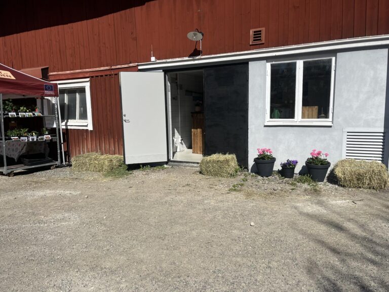 492771700 122112021686833601 2637092386800482422 n 768x576