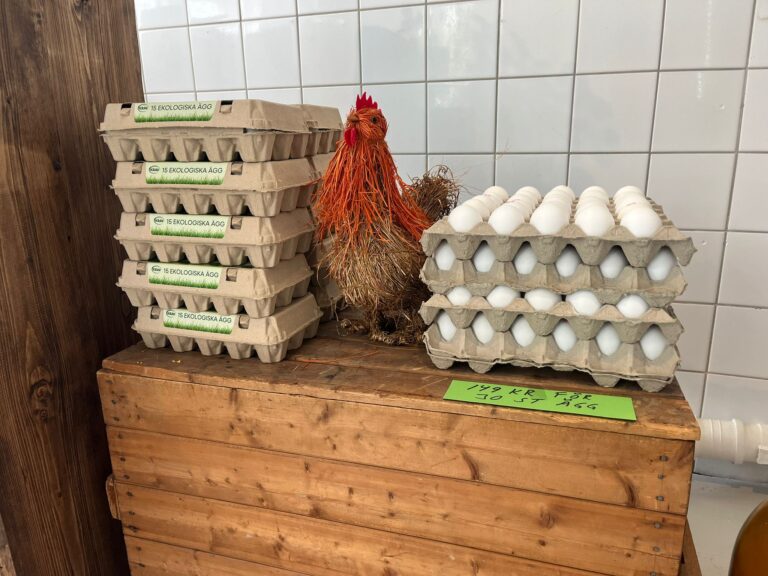 WhatsApp Image 2025 05 10 at 12.48.52 768x576