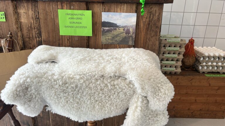 WhatsApp Image 2025 05 10 at 12.49.24 768x432