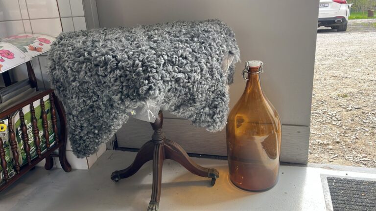 WhatsApp Image 2025 05 10 at 12.49.40 768x432