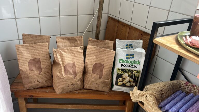 WhatsApp Image 2025 05 10 at 12.50.23 768x432