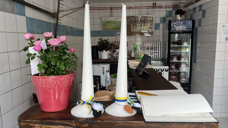 WhatsApp Image 2025 05 10 at 12.51.19 768x432