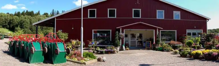 Osmo plantshop 1 768x233