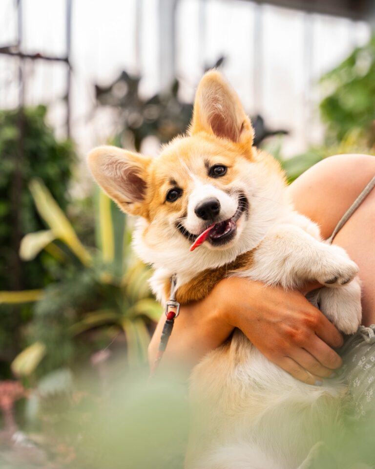 Osmo plantshop 4 768x960