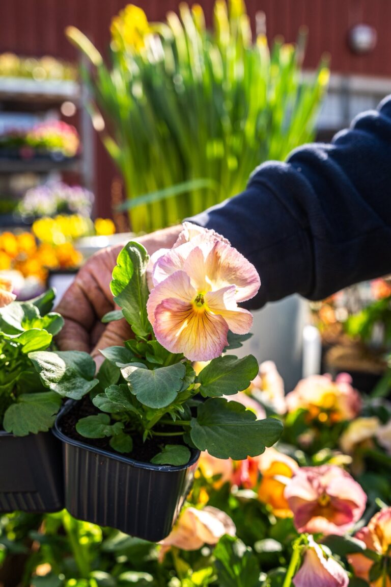 Osmo plantshop 5 768x1151