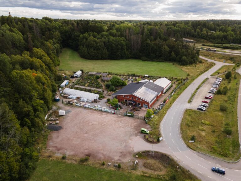 Osmo plantshop 768x576