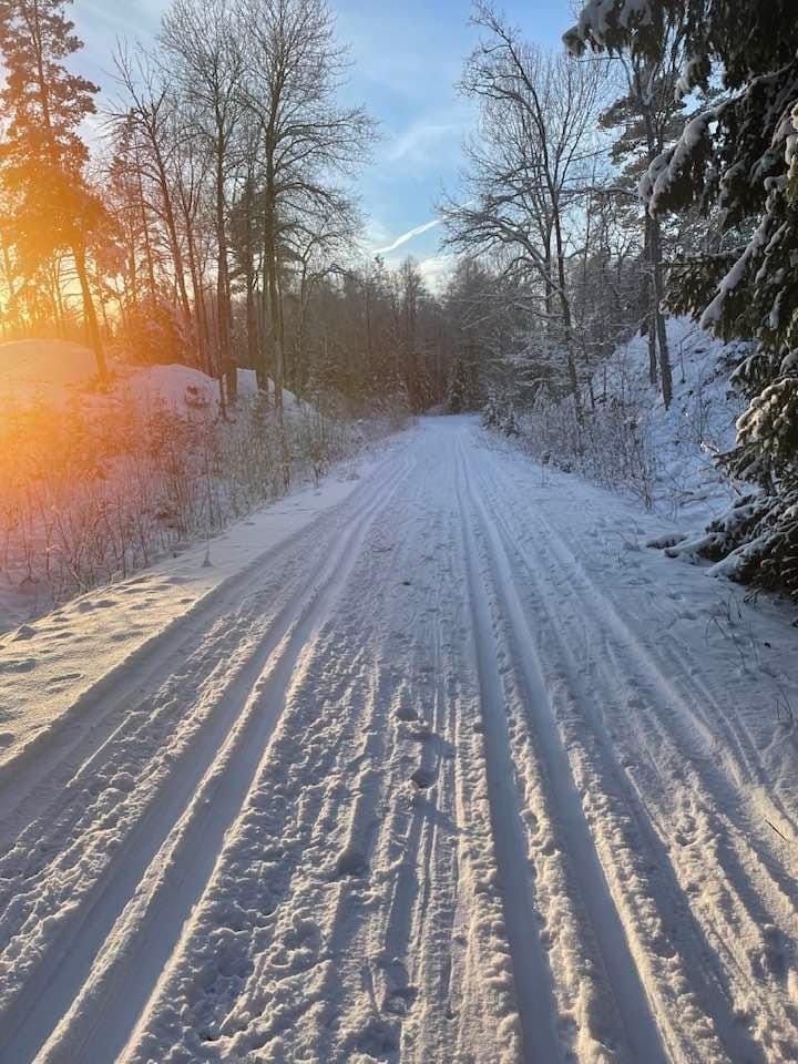 482228060 1046951607458547 6694028299880371689 n